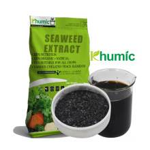 liquid seaweed extract gel organic fertilizer